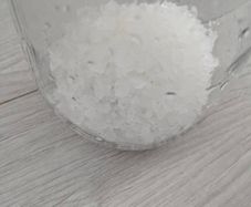 Live Water Kefir Grains  Fresh  Active
