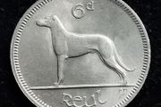 Ireland - 1968 - 6 Pence - Wolfhound - UNC - KM.13a - [2528]
