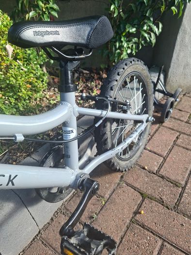 Ridgeback Mx16