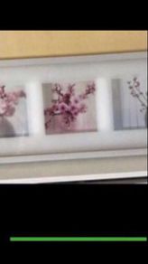 Framed Floral Prints