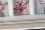 Framed Floral Prints
