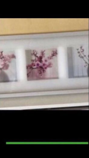 Framed Floral Prints