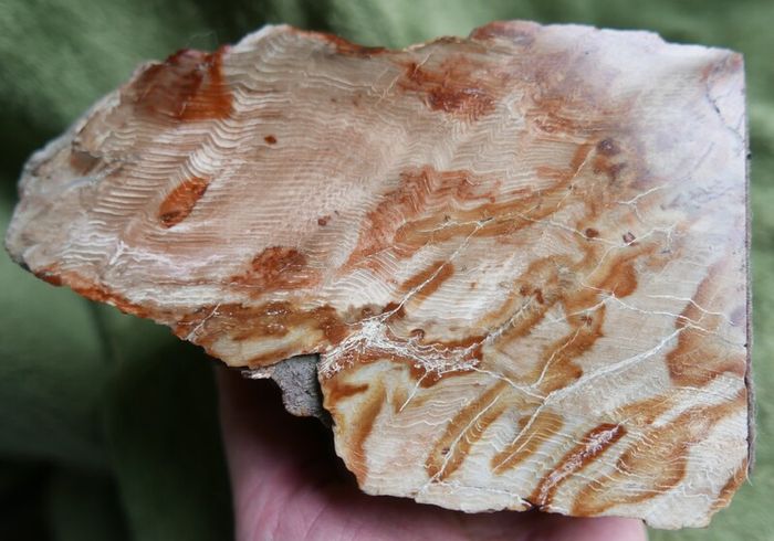 Dolomite Slab Rolling Hills Dolomite