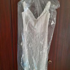 Has To Go This Week Taking Offers Wedding/debs  Dress