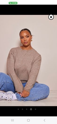 ladies jumper BNWT