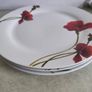 Rayware Alpine Poppy Teapot plus 5 Aynsley dessert plates and 3 dinner plates BREEZE everyday use. Image 7