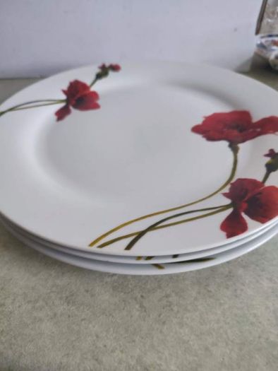 Rayware Alpine Poppy Teapot plus 5 Aynsley dessert plates and 3 dinner plates BREEZE everyday use.