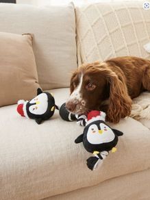 Dog Rope Toy