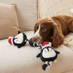 Dog Rope Toy