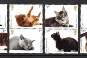 2022 Great Britain Fauna Cats Commemorative Stamps Mint Never Hinged (MNH)