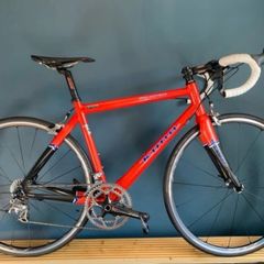 Kinda Zing Supreme Carbon Bike