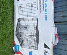 dog crate - large
