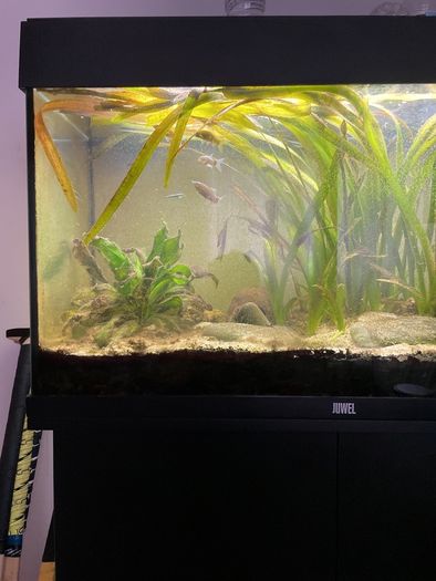 Juwel  125 litre tank and cabinet set 450 ONO