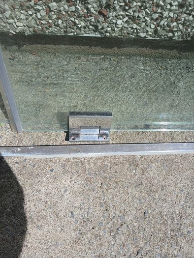 Shower door