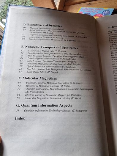 Magnetism goes Nano: Electron Correlations, Spin Transport, Molecular Magnetism... (gebundene Ausgabe
