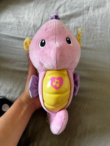 Free seahorse