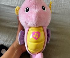 Free seahorse