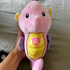 Free seahorse