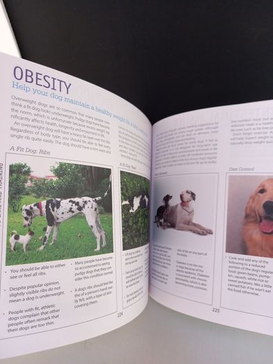 SALE! DOG CARE & TRAINING - A complete illustrated guide to adopting, house-training and raising a healthy dog