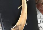 Horn trinket tray