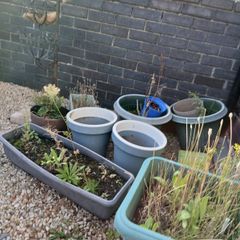 Plant pots