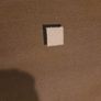 Carpet Image 3