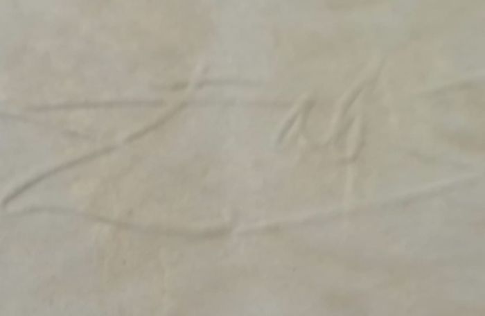 Salvador Dali Signed Etching, Les Tiroirs 1967.
