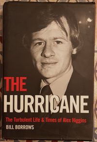 The Hurricane: The Turbulent Life And Times Of Alex Higgins by Bill Borrows