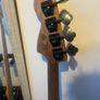 Squier active precision bass Image 3