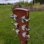 Ibanez PF10 Acoustic Guitar Image 6