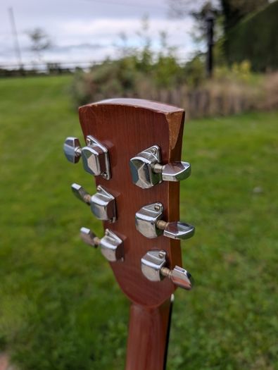 Ibanez PF10 Acoustic Guitar