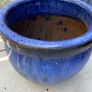 Blue Plant Container Image 2