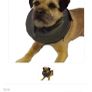 Comfy Collar Image 4
