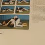 Ju-Jitsu A Path For Beginners Image 9