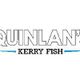 Quinlans Kerry Fish