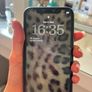 iPhone 11 Image 2