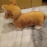 Betty the Corgi Jellycat Image 2