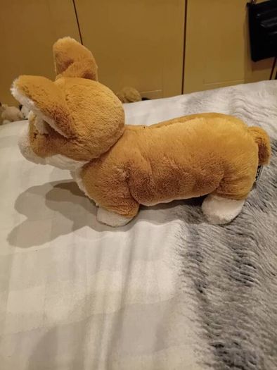 Betty the Corgi Jellycat