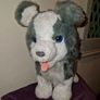 FurReal Friends Ricky the Trick loving Husky - Fully working Image 2