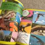 New - Dinosaurs - The Fact Packed Activity Book (DK) Image 5