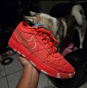 Basketball Shoes