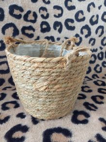 New.plants/flowers basket