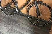 adults bike