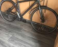 adults bike