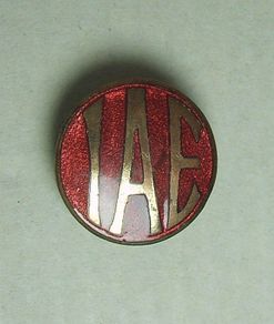 INSTITUTION OF AUTOMOBILE ENGINEERS (IAE) - a scarce antique enamelled membership badge (c.1922)