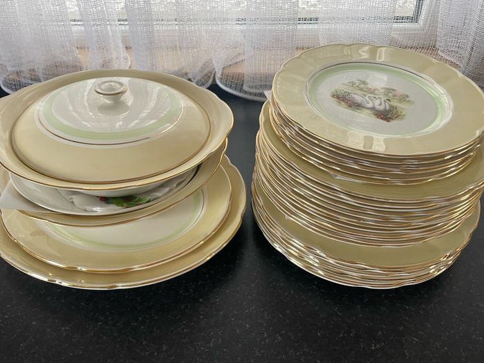 Vintage Arklow Pottery Dinner Set