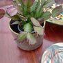 Joblot of HANDMADE Ceramics Image 6