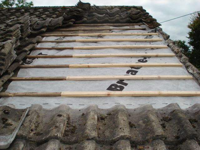 Roof and Gutters Repair, Exterior & Interior Painting, Powerwashing-Cleaning Service