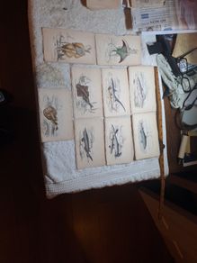 Vintage fish prints