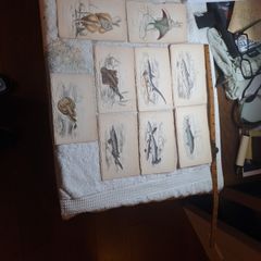 Vintage fish prints